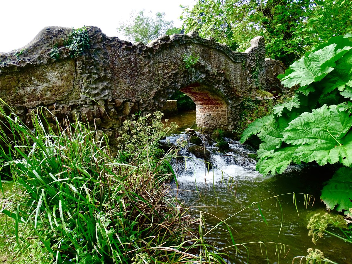 RellimPhotos's tweet photo. Beautiful gardens at Dunster Castle, Somerset #snapescape #500pxrtg #VisitBritain https://t.co/Hq0jInCcxT