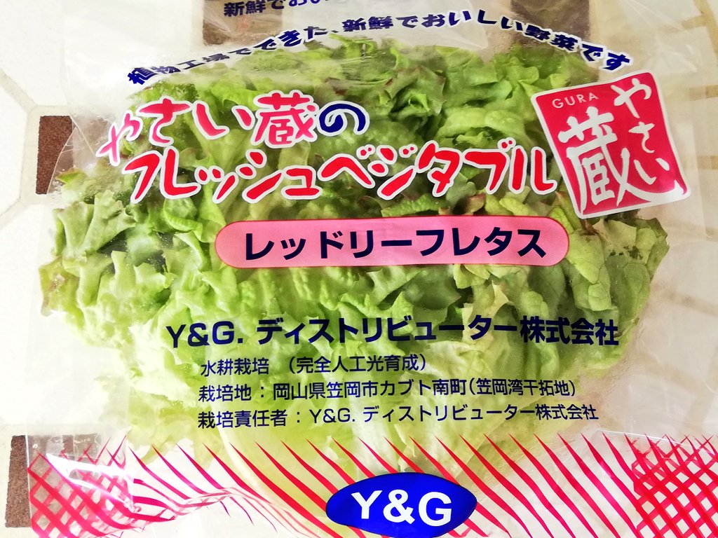ワコーファーム 公式 植物工場では 現在５種類の野菜を栽培しています そのうちのレッドリーフレタスはサラダや付け合わせに最適で 食卓を少し華やかにしてくれます 現在直売所で販売しておりますのでぜひお試し下さい 岡山県 笠岡市 植物工場