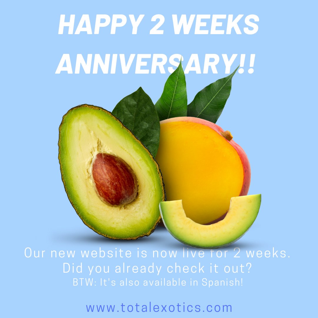 Celebrate every day like a birthday! 🎉🎉 totalexotics.com

#avocado #mango #linkinbio #fresh #agfnl #fruit #website #readytoenjoy