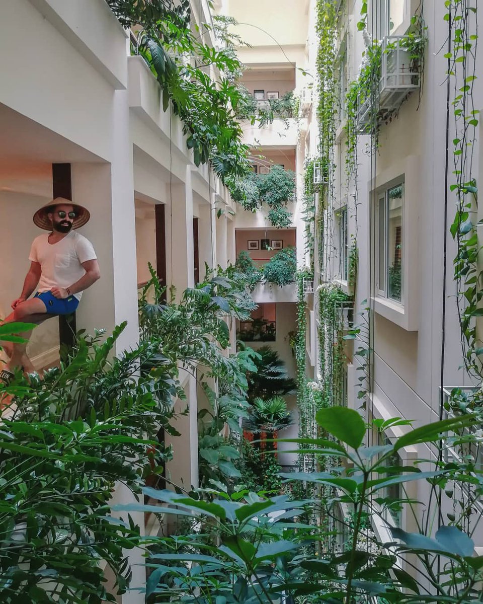 apricothotel's tweet photo. Green place in the heart of #Hanoi! 

Photo from our beloved guest @polsamuel
━━━━━━
#ApricotHotel
🏨 136 Hang Trong Str., Hoan Kiem, Hanoi
📞 +84 24 3828 9595
✨ https://t.co/Es4H64o5OI
📮 info@apricothotels.com https://t.co/qHZAVeY8F4