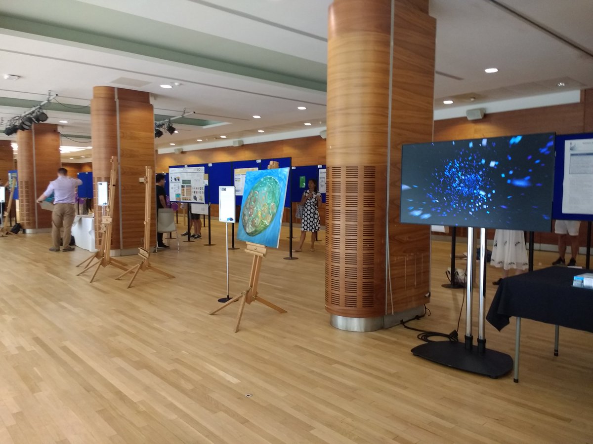 Ashleigh Cheyne tweet media