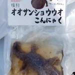 キモ可愛いオオサンショウウオのご当地こんにゃくが人気な件!