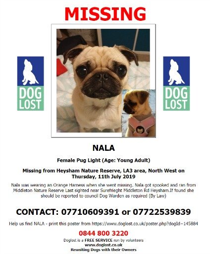 DogLostUK tweet picture