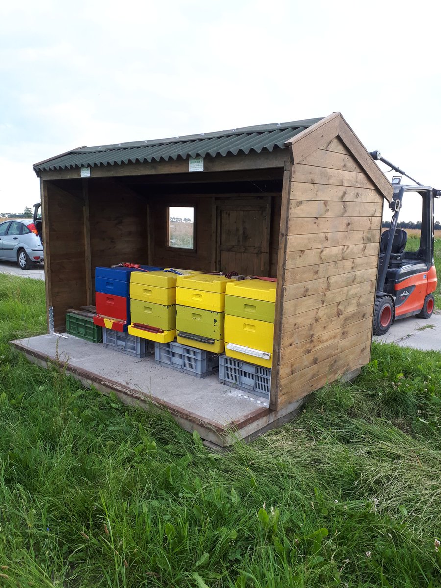 StratenAp's tweet photo. Megastal voor bijen https://t.co/6rjKPCZZZI