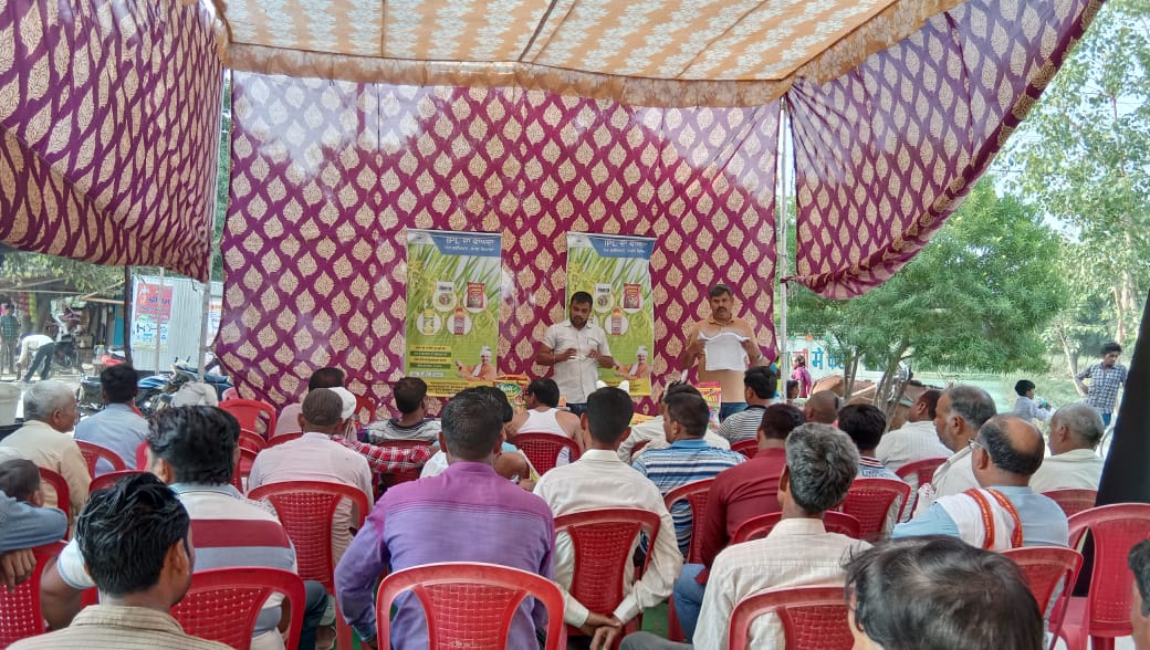 IPLBiologicals's tweet photo. 29th June:
IPL team conducted #farmers meeting at Amritpur (Farrukhabad) for #paddy package using IPL #Biological Products #Sanjeevni, #PhasalRakshak, #VAMHD &amp; #Phoster to get the higher #yield.
#organicfarming #agriculture @IPLBiologicals https://t.co/mXCy3bDGvw