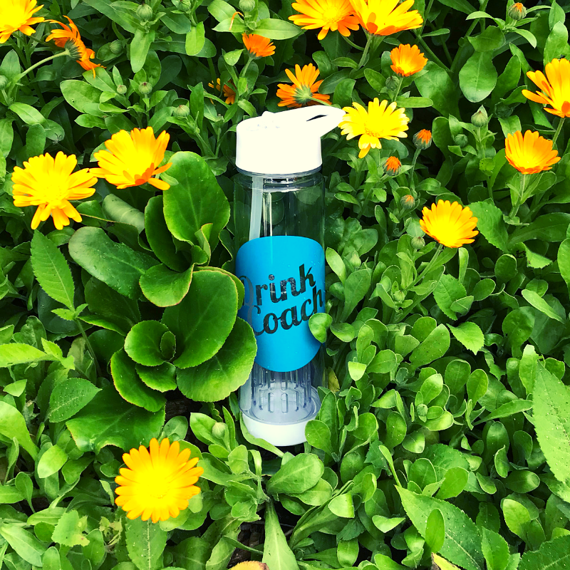 DrinkCoach's tweet photo. It's #FreebieFriday!

Follow &amp; RT for a chance to #Win a DrinkCoach fruit infuser! Enter our #Giveaway by 14/7/2019.

#DCFruitInfuserGiveaway https://t.co/bEAR2W32H6 https://t.co/RiifFEPTnd
