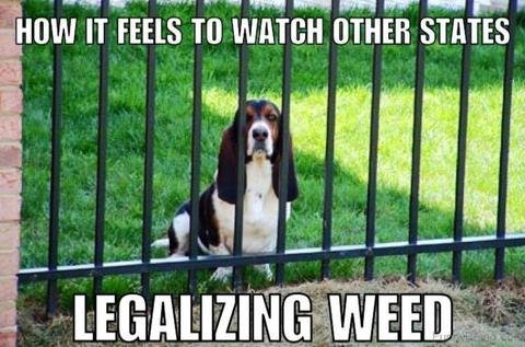 CannabisClassy's tweet photo. Too Funny!!! 😂🤣😂#MedicalMarijuana #MedicalCannabis #weedlover #weedstagram #marijuananews #CannabisBusiness #CannabisLegalization #ThursdayThoughts #ThursdayMotivation #StonerFam #cannabisindustry https://t.co/6ctzUf7z7p
