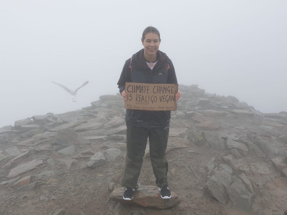 Another activist at the top of Snowdonia! Spreading the message that climate chane IS real! 

#BornEco