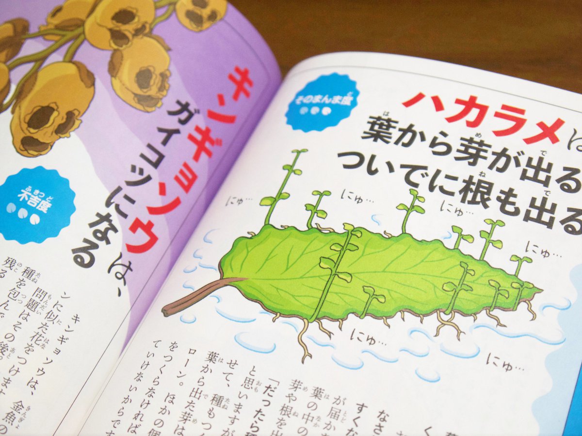 売れそうなこの本『だれかに話したくなる あやしい植物図鑑』の漫画パートを描きました!

ボタニカル・ラブストーリー♥は突然に!

監修は菅原久夫先生、図鑑ページの絵はイラストレーターの白井匠さんが描かれています。

https://t.co/j64sdO2AjX 