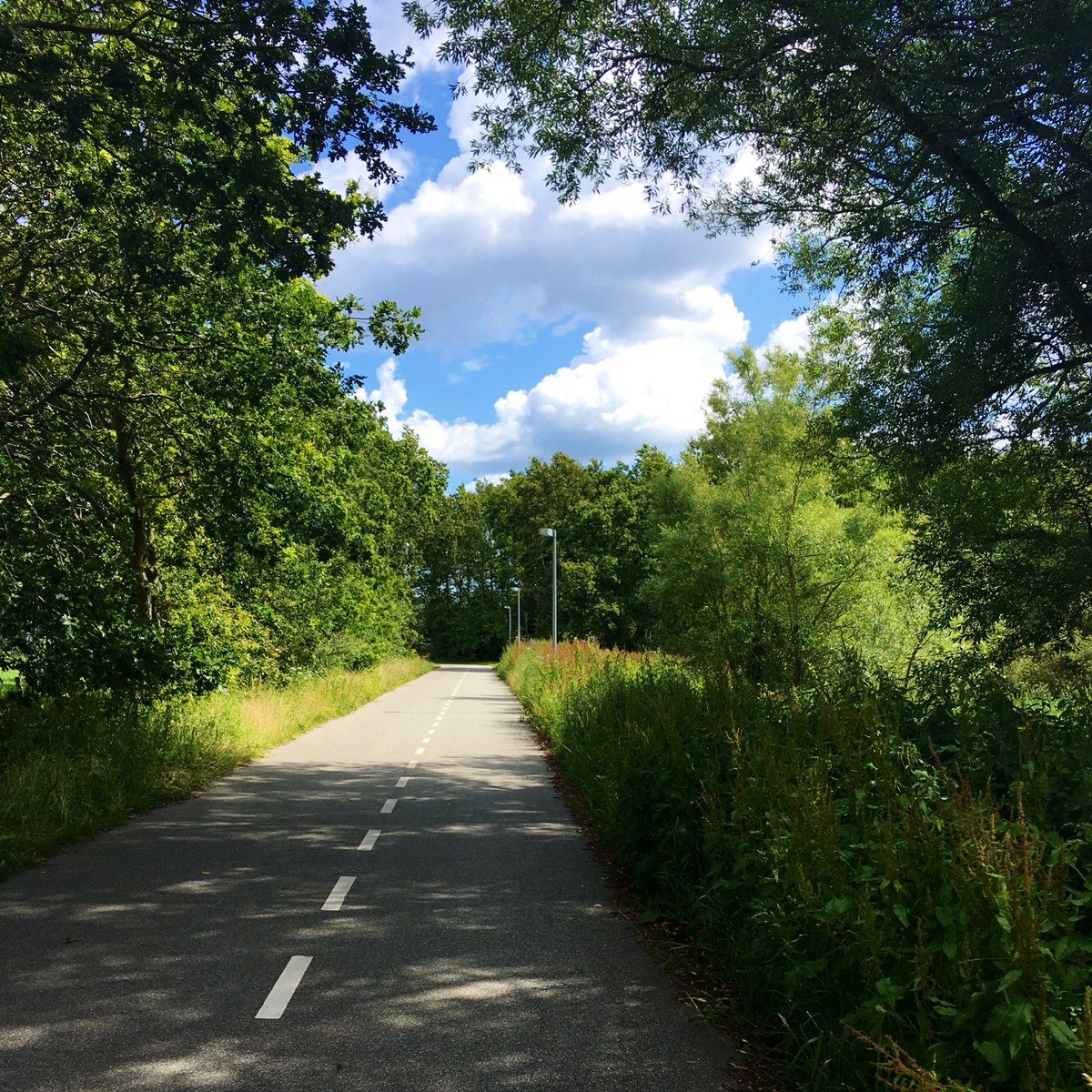 beritten's tweet photo. Cykelrigdom til og fra job. Men nu tjekker jeg ud og stempler ind med cykler og naturrigdomme i sommerhuset på #Thyholm #ferie #nedigear #sunddk https://t.co/gXTrp95fAK
