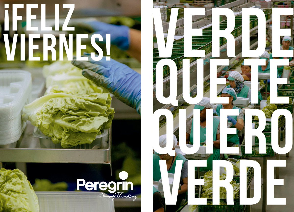 sat9989peregrin's tweet photo. 👋¡𝗕𝗨𝗘𝗡𝗢𝗦 𝗗𝗜𝗔𝗦!    👋
Estamos a un pasito de coger el fin de semana... 
¿Tenéis ganas? ☝️
Hay que disfrutar del fin de semana y las vacaciones de verano que el tiempo pasa muuy rápido 🏃‍♀️🏃‍♂️
#Peregrín #SunnyThinking #Contigo #FindeSemana #Julio #Vacaciones #Playa #Verano https://t.co/rJzuZDt9Hm