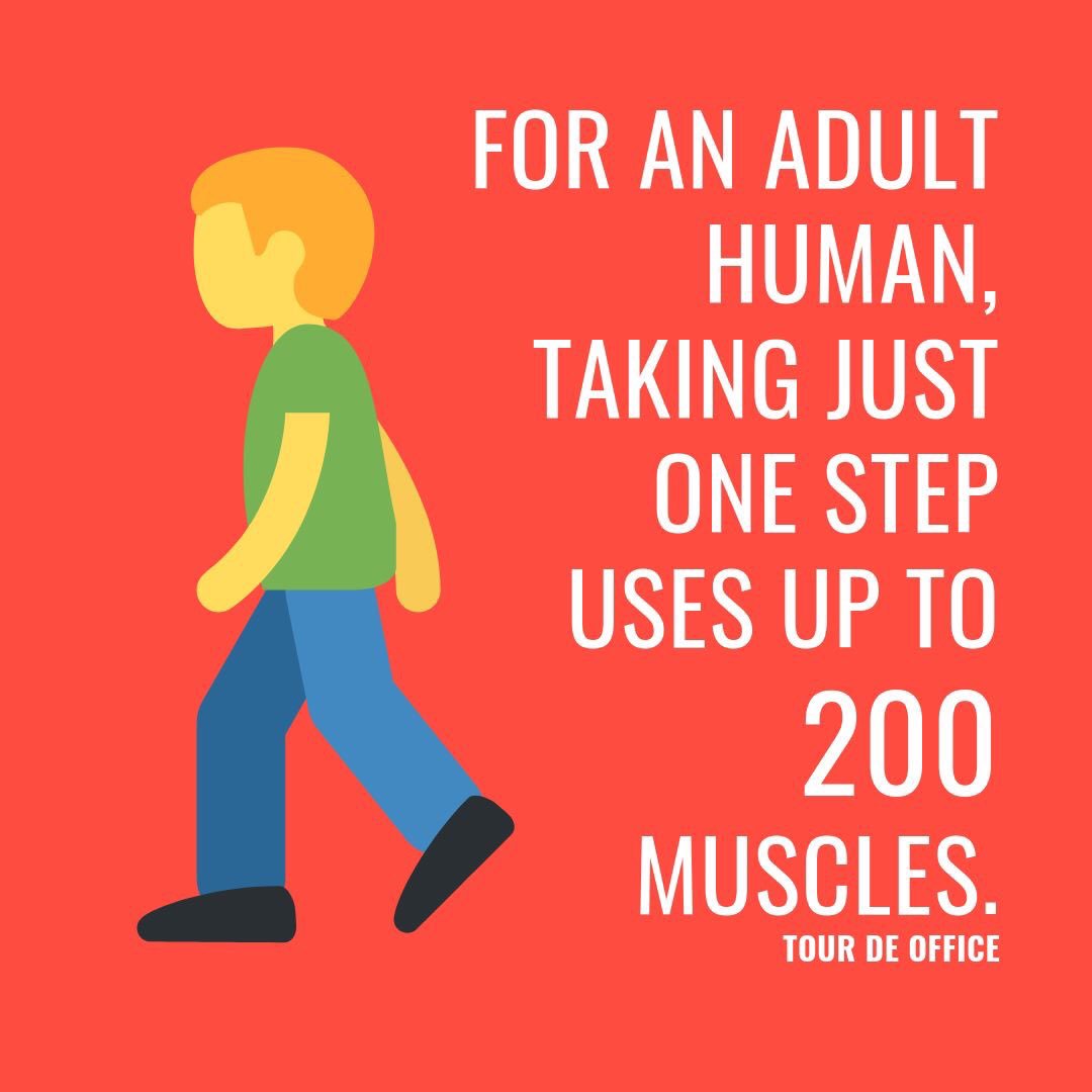 Fun Fact Friday 🚶🏼‍♂️💪🏼