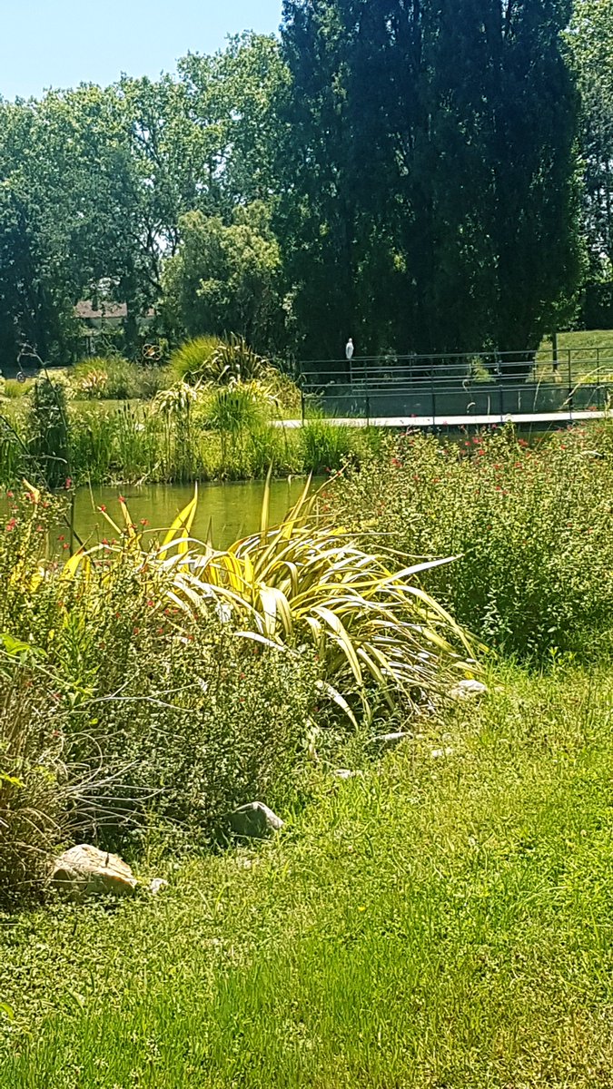 SoukaynaByh's tweet photo. [Happy Gfi] Chez @gfiinformatique Toulouse, nous avons la chance d'avoir un cadre de travail magnifique et nous en profitons à chaque instant ! 🌳 ☀️Le cadre de travail ➡️ Booster de motivation et de bien être au travail ☀️🌳 @gfi_recrute Rejoignez notre team ! https://t.co/M1qZYWYOCe