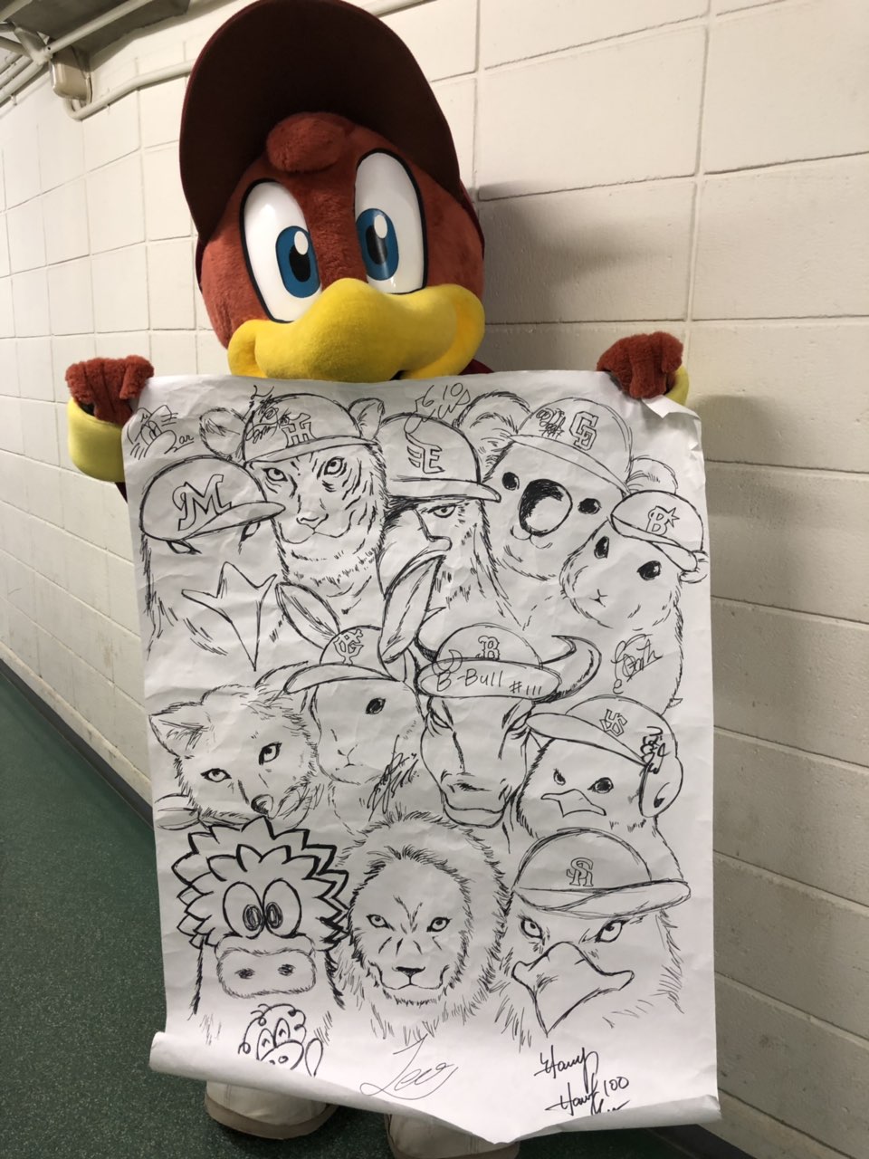 東北楽天ゴールデンイーグルス この日がやってきた マイナビオールスターゲーム19 クラッチ画伯は 12球団のマスコットたちを描いた渾身の作品を披露 みんなからサインももらいました Raktueneagles 東北楽天ゴールデンイーグルス この日がやってきた マイナビオールスターゲーム19 クラッチ画伯は 12球団のマスコットたちを描いた渾身の作品を披露 みんなからサインももらいました Raktueneagles