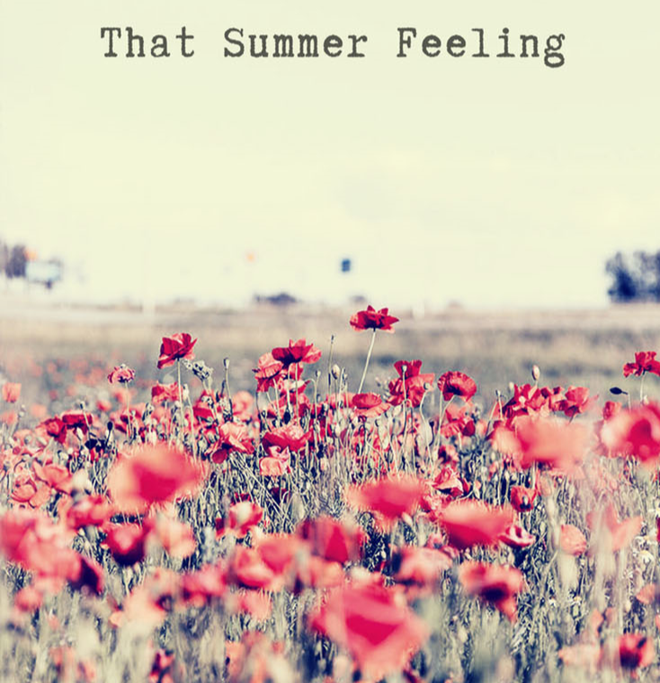 Summer feeling. Summer feels перевод. Summer feels перевод. Summer feels перевод. That summer feeling надпись.