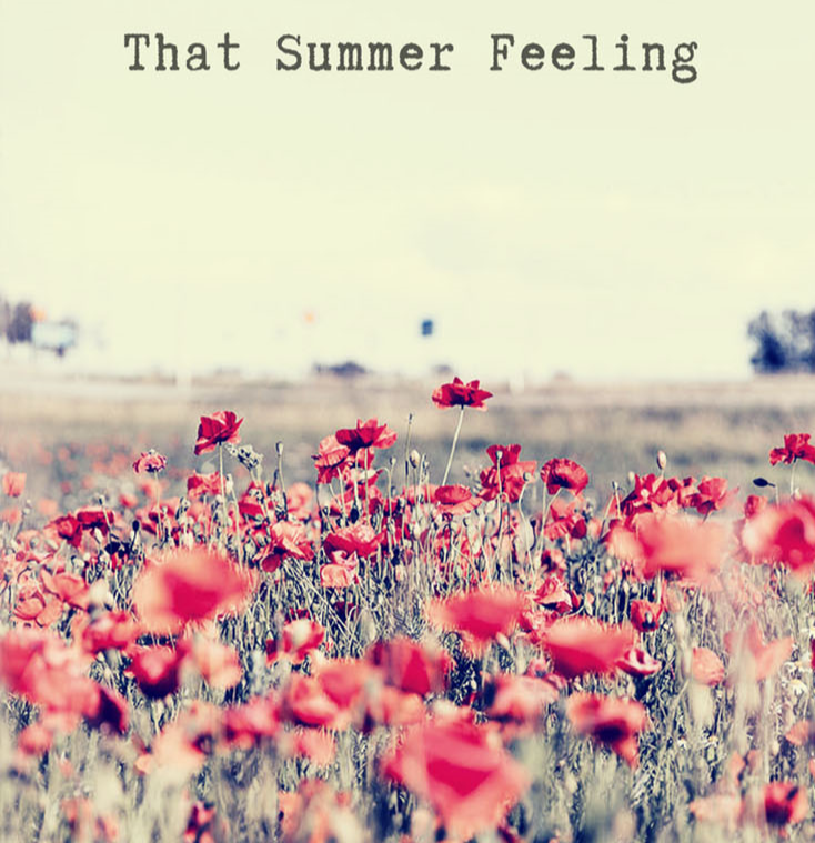 Переводчик feels. Summer feeling. Summer feelings перевод. Summer feeling обои. That Summer feeling надпись.