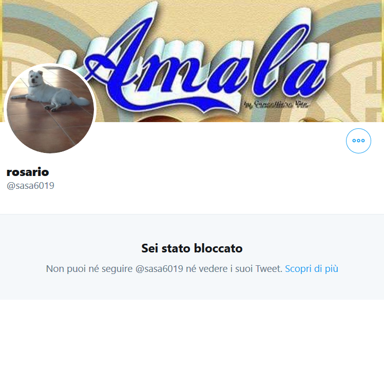 gobboisback's tweet photo. @Francalidia4 @oenzoamore @napolista @stevevicrn @PieroQuarta1908 @SantucciFulvio @ZZiliani @AndreaFrey83 Mi ha menzionato a 3 coniglietti prescritti che mi hanno bloccato e che si vantavano del fatto che io avessi bloccato loro 😂😂😂 se la cantano e se la suonano 🤣🤣🤣 #Anala #Umiliala #Rubinter https://t.co/bT68eTTpKx