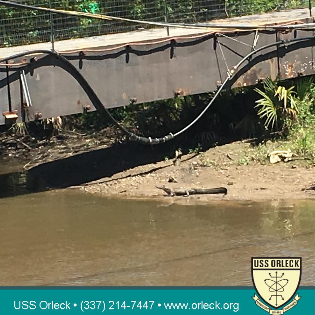 Come for the history and you might catch a glimpse of wildlife too!