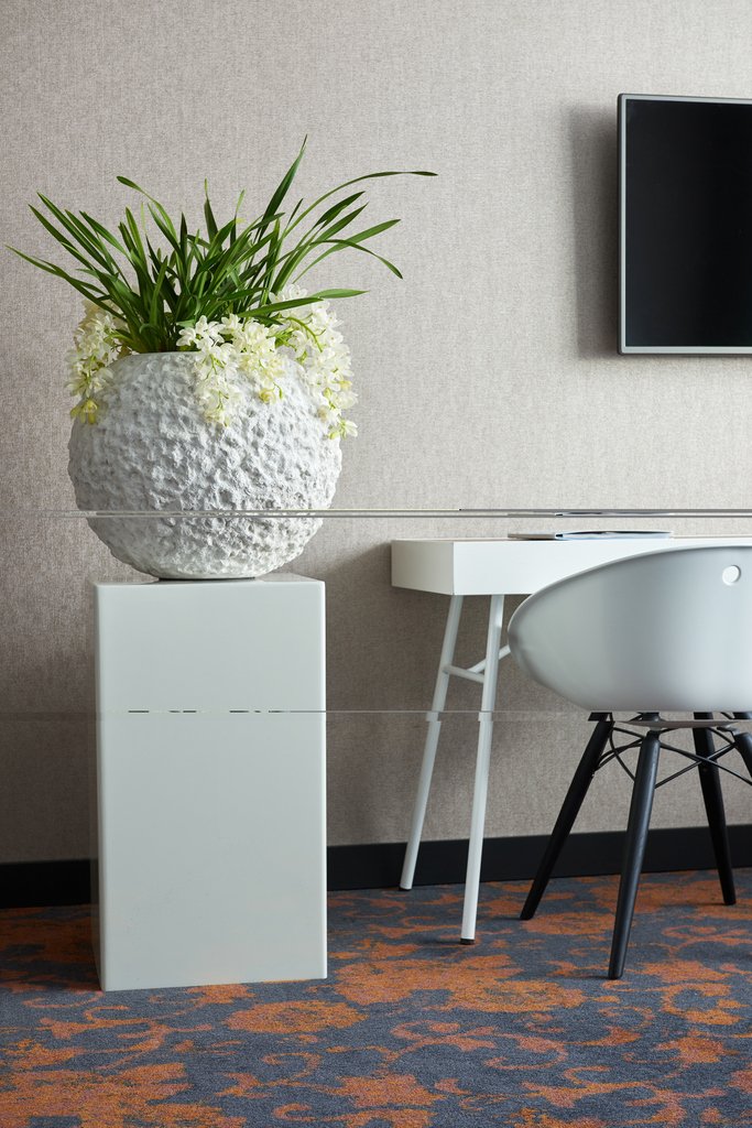 Met een wit interieur creëer je automatisch een stijlvolle omgeving die je kan combineren met elke interieurstijl. Klassiek en stijlvol of strak en modern!🌿#interiordesign  #design #decor #inspiration  #plant #nature #green #natural #botanical #leaf #urbanjungle #cactus #plantas