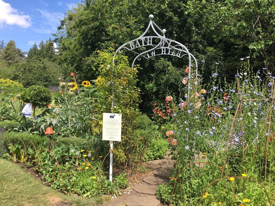 bathVC's tweet photo. As ever the #TheBathWI bed is looking splendid again this year in the Botanical Gardens (Royal Victoria Park, Bath). Thank you for so generously sharing your time and skills to create such a lovely space 🌱🌻🌞 for all to enjoy you are awesome :) https://t.co/owXQUujMKs