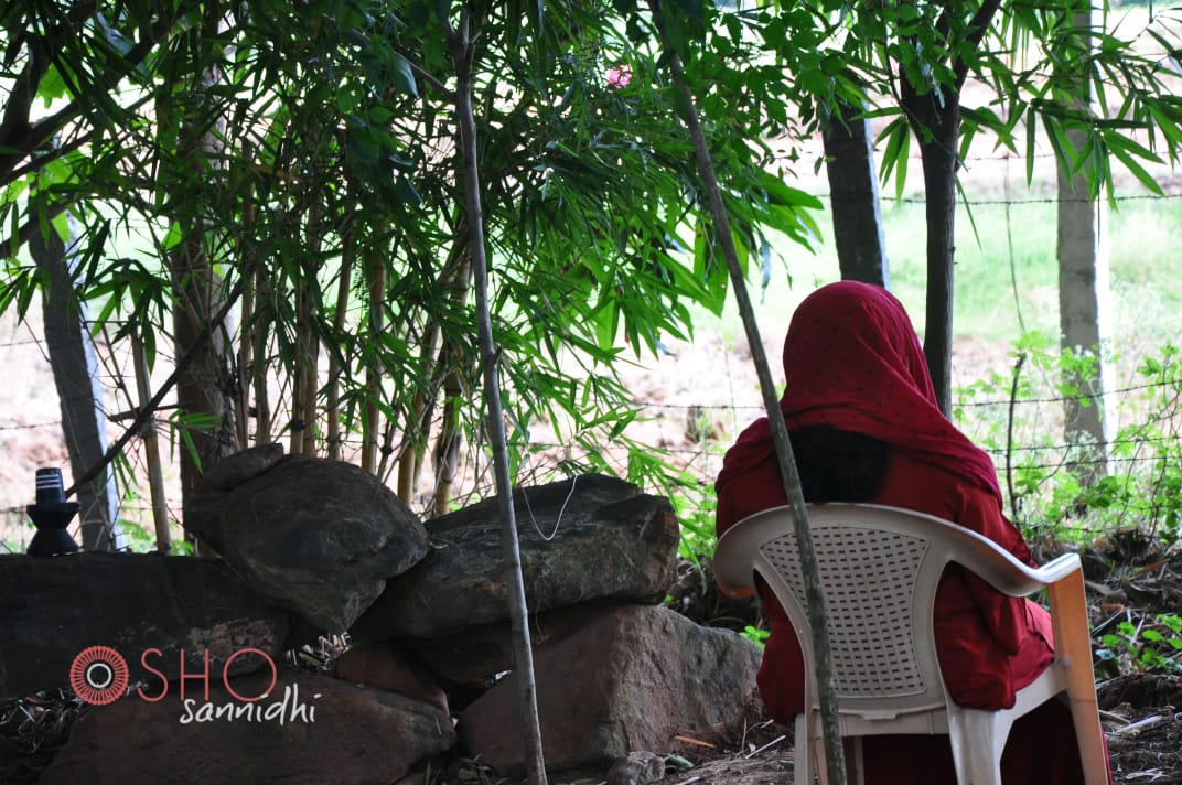MysoreOsho's tweet photo. #Being with oneself in #Nature
#SELF REMEMBRANCE 
Pic's Source ~ 
#OSHOSANNIDHIMYSORE♥️
10days retreat #JUNE2k19 https://t.co/LBdDEGUAv8