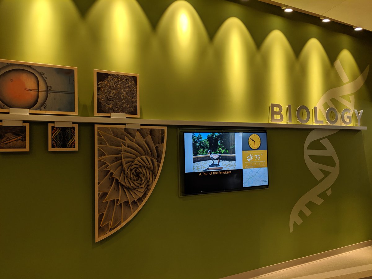 UTKBiology's tweet photo. #StrongHall getting more and more interesting by the day. Come check our new artwork!
#UTKGeneralBiology
@UTK_EEB
@UTK_BCMB
@UTKMicrobiology
@ArtsSciencesUT https://t.co/1Qd1Xq3cgO