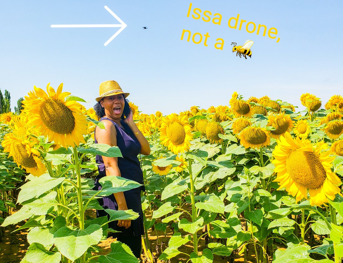If you know me, you know I'm terrified of 🐝🐝🐝! But, I got out of my comfort zone with #ExperienceRomania and jumped into a field of sunflowers. Unfortunately, I mistook this drone for a swarm of bees 😂 #visitoradea #presstrip #travelbloggers #ttot