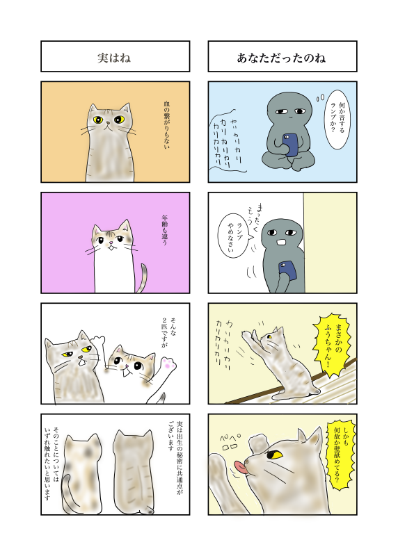 hottospace_r's tweet photo. 背景のお試し期間長すぎる問題
相変わらず絵は安定しませんが温かい気持ちでご覧ください。
＃猫漫画　＃猫 https://t.co/jMYp58mFK8