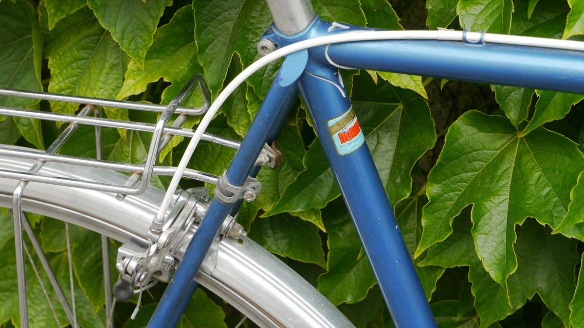 Get Selbstgenuegsamkeit For Android Free