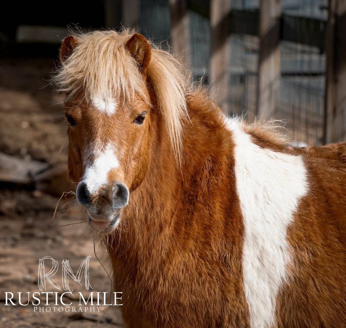 7 Acre Wood tweet media