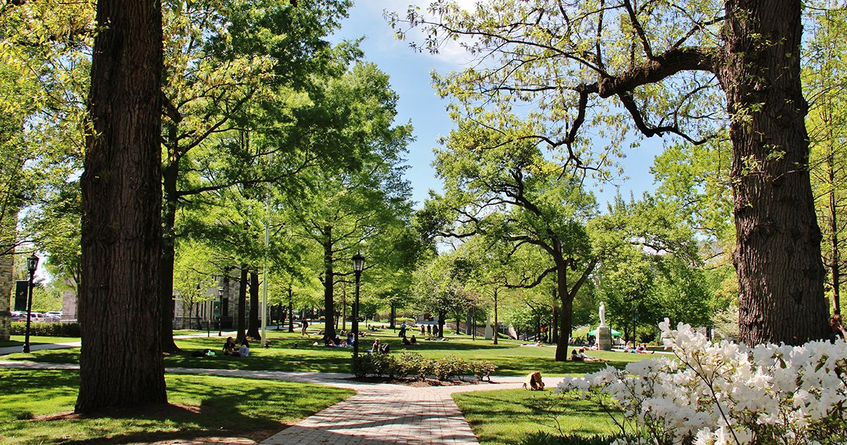 LOYOLAdmission's tweet photo. Classic. Lush. Modern. Timeless. It's only fitting that these words come to mind when we think of the Evergreen campus. 💚🌲
Register for a visit today and explore the 81 wooded-acres, guided by one of our Greyhound Ambassadors. >> https://t.co/prrMJ52sfV
#VisitLoyola #LoyolaMD https://t.co/RDRfnio8SV