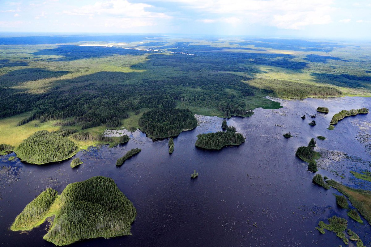 forestscanada's tweet photo. How to erase 100 years of carbon emissions? Plant trees. #ForestryFriday #ItTakesAForest https://t.co/ACLgu66Ulk https://t.co/TAtb8lx7qR