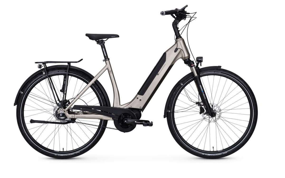 ebm e-bikemanufaktur tweet media