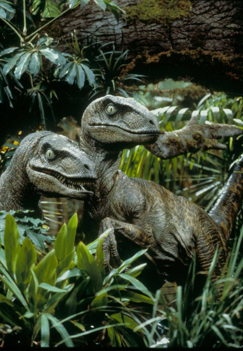 the big one jurassic park the big one jurassic park