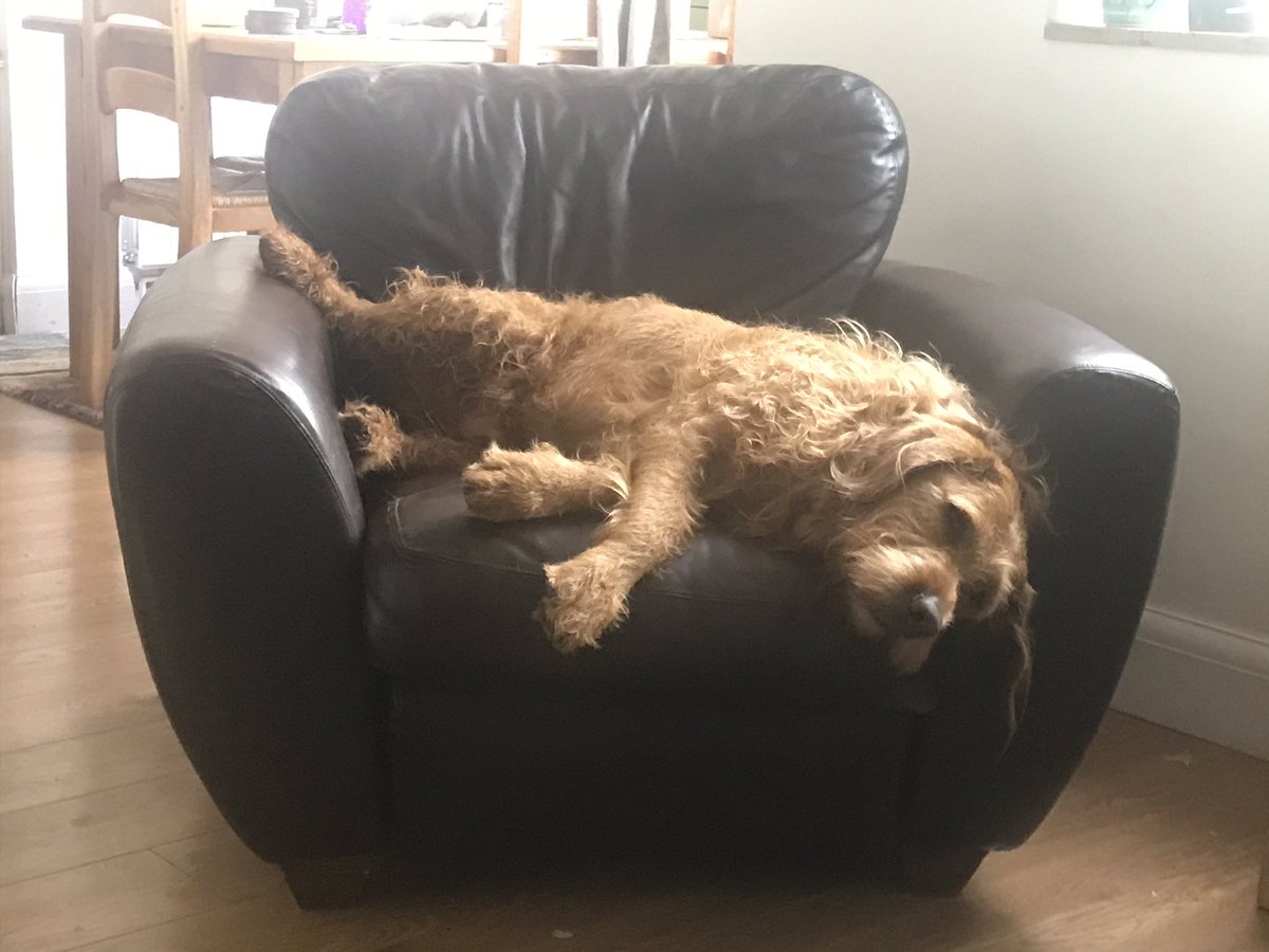 Ha ha Both of you look ready for the weekend, unlike this lazy beast!