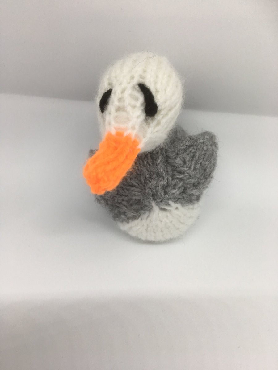 kernow knitting tweet media