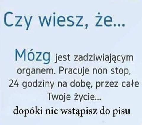 syśka tweet media