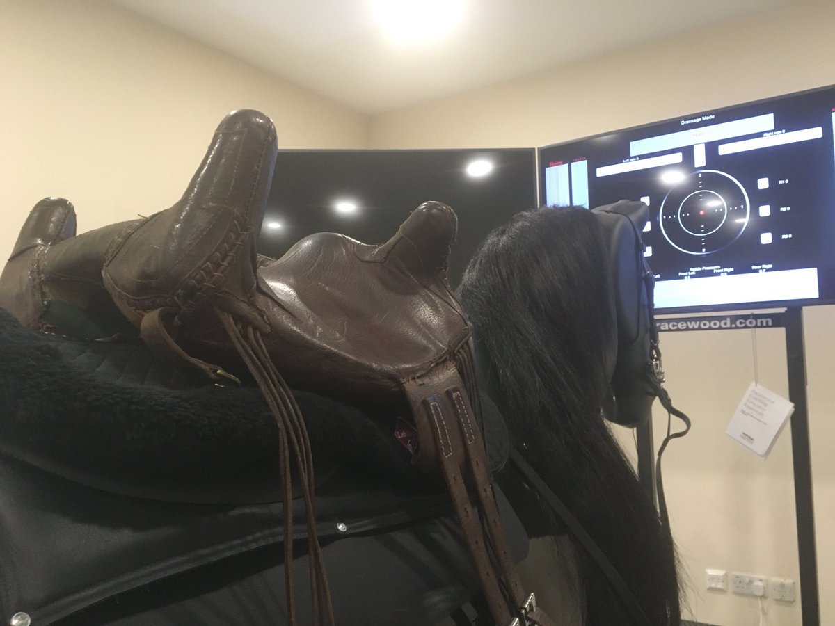 ljcequine's tweet photo. Enjoying our exciting roman saddle research project @UC_Sparsholt supported by @TheRomanSoc using our @RacewoodLtd equine simulator Charisma and @qualisysab 3D motion capture π a heady mix of experimental archeology and cutting edge technology with @MoiWatson #stemequine #roman https://t.co/HFHbIsDL2C