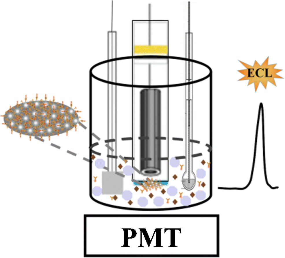 Anal Bioanal Chem (@analbioanalchem) on Twitter photo Homogeneous electrogenerated #chemiluminescence #immunoassay for the detection of #biomarkers by #magnetic preconcentration on a magnetic #electrode
by Chengxiao Zhang et al <a href="/SNNUChina/">Shaanxi Normal University</a>
link.springer.com/article/10.100… Homogeneous electrogenerated #chemiluminescence #immunoassay for the detection of #biomarkers by #magnetic preconcentration on a magnetic #electrode
by Chengxiao Zhang et al <a href="/SNNUChina/">Shaanxi Normal University</a>
link.springer.com/article/10.100…