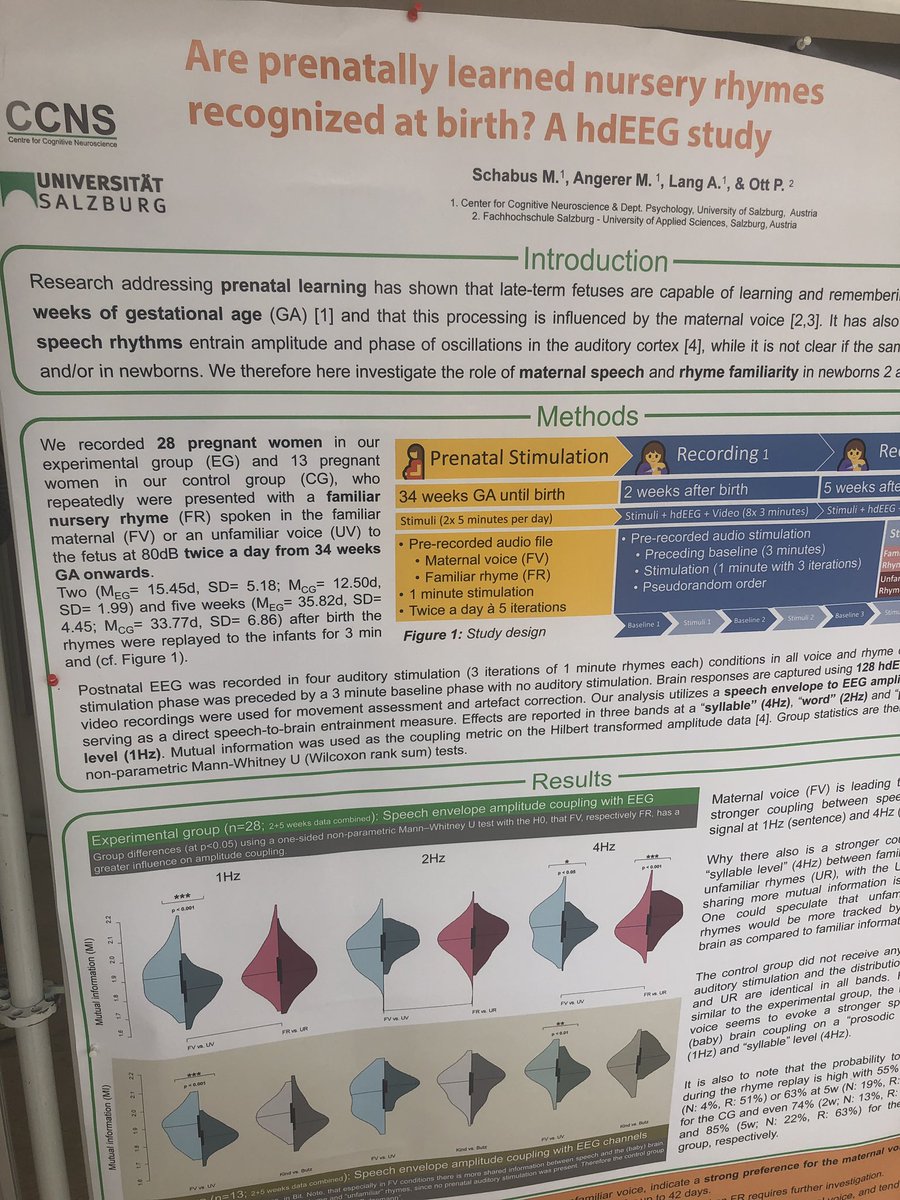 ManuelSchabus's tweet photo. David you have to look at this! Speech-envelope coupling in babies #SAMBA2019 @Salzburg_SAMBA @davidpoeppel https://t.co/GrShHRlZRB