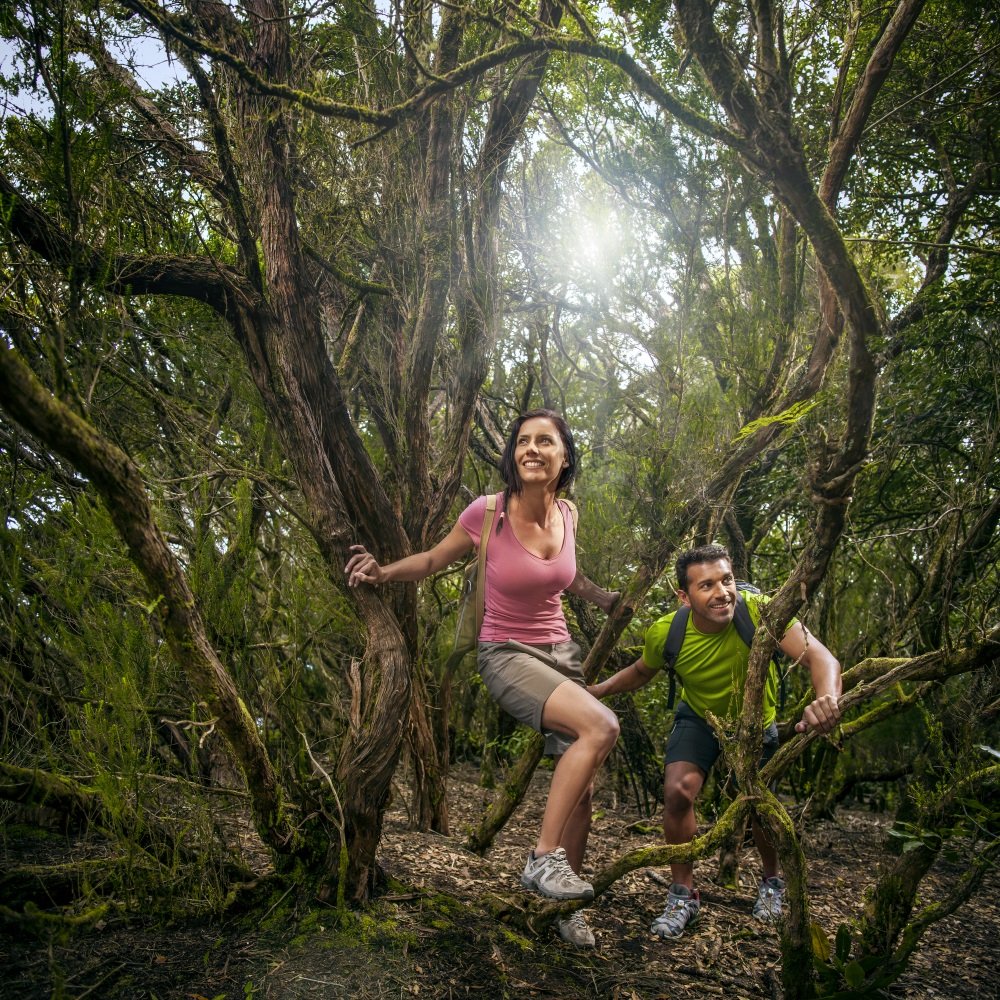 El Gobierno convoca subvenciones por importe de 200.000 euros para apoyar la creación de productos turísticos en las corporaciones locales de Canarias bit.ly/32q1F7y