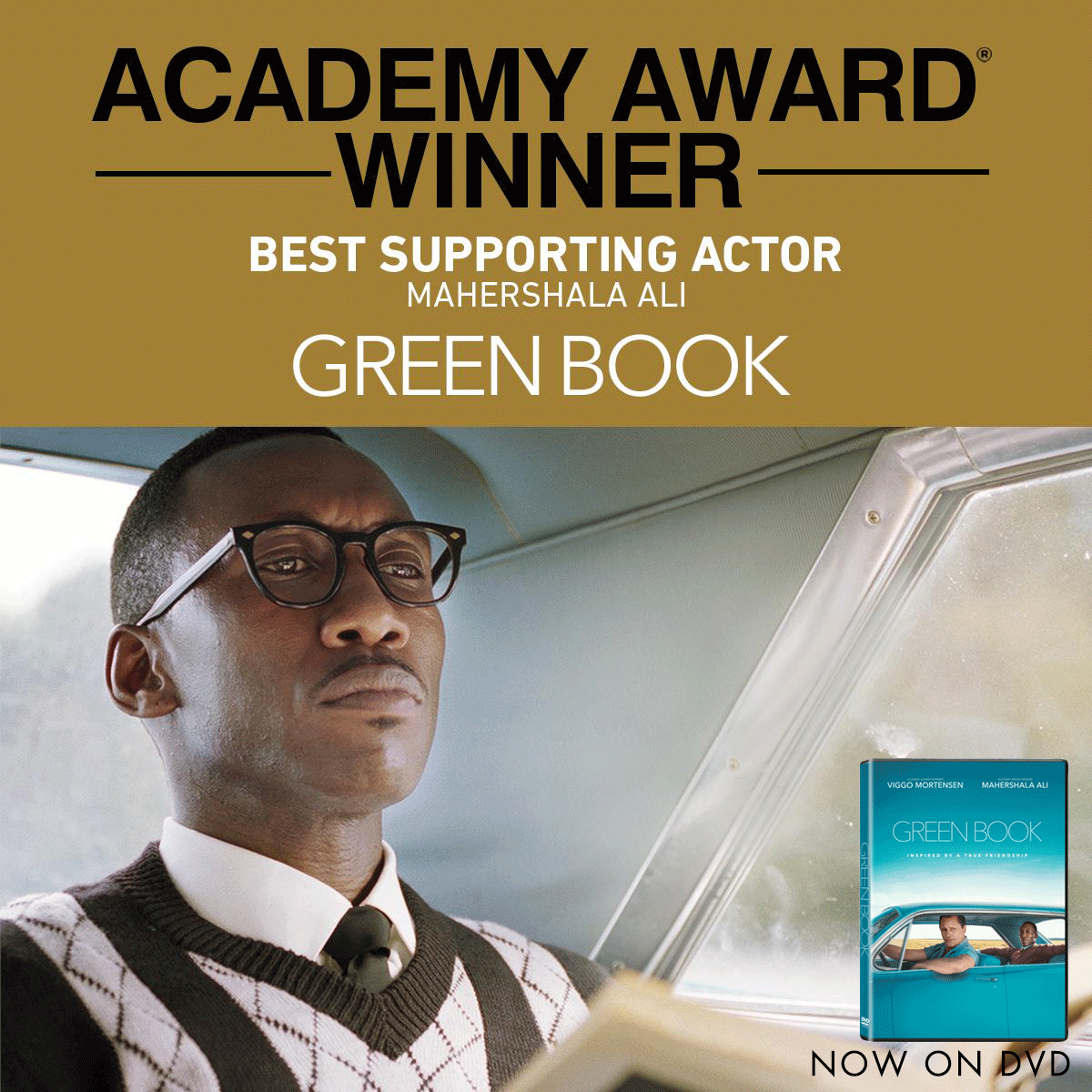 nextent_he's tweet photo. Start your weekend off with #GreenBookMovie winner of 3 Academy Awards including Best Picture. Own it NOW on DVD. https://t.co/EXt3vR6Qhu
