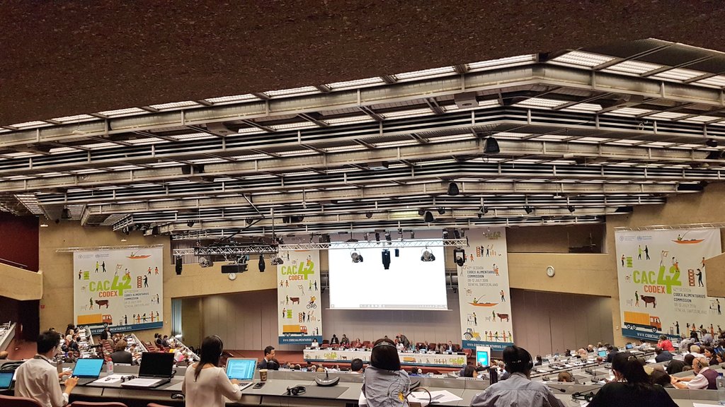 FAOWHOCodex's tweet photo. 📸 | 1/3 adopted #CodexCAC42 https://t.co/noaiEfl4NP
