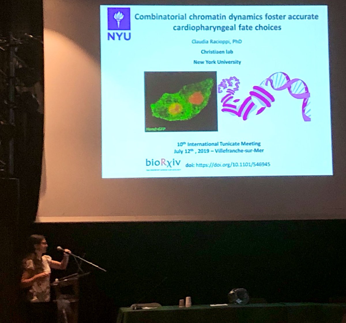 evodevogenomeUB's tweet photo. Amazing talk by @RacioppiClaudia from @lionlchristiaenโs lab showing precise information of dynamic #chromatin accessibility related to the determination of #cardiopharyngeal fate decissions in #ascidians as the model system. #Tunicate2019 #10thITM https://t.co/GiVWSxW3Nf