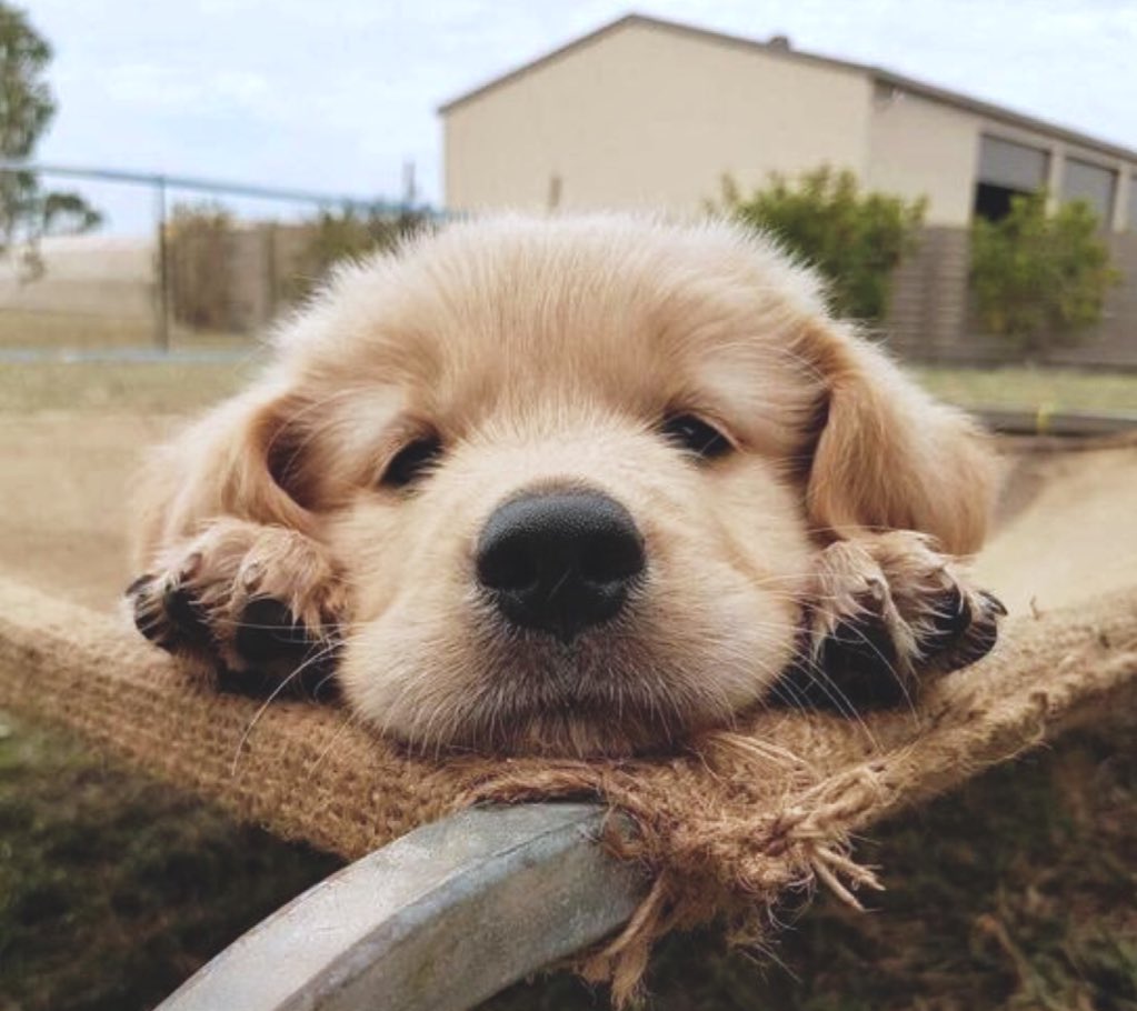 They don’t care what car you drive or care who you know. Don’t care what you wear or where you live. They only care that you’re there.