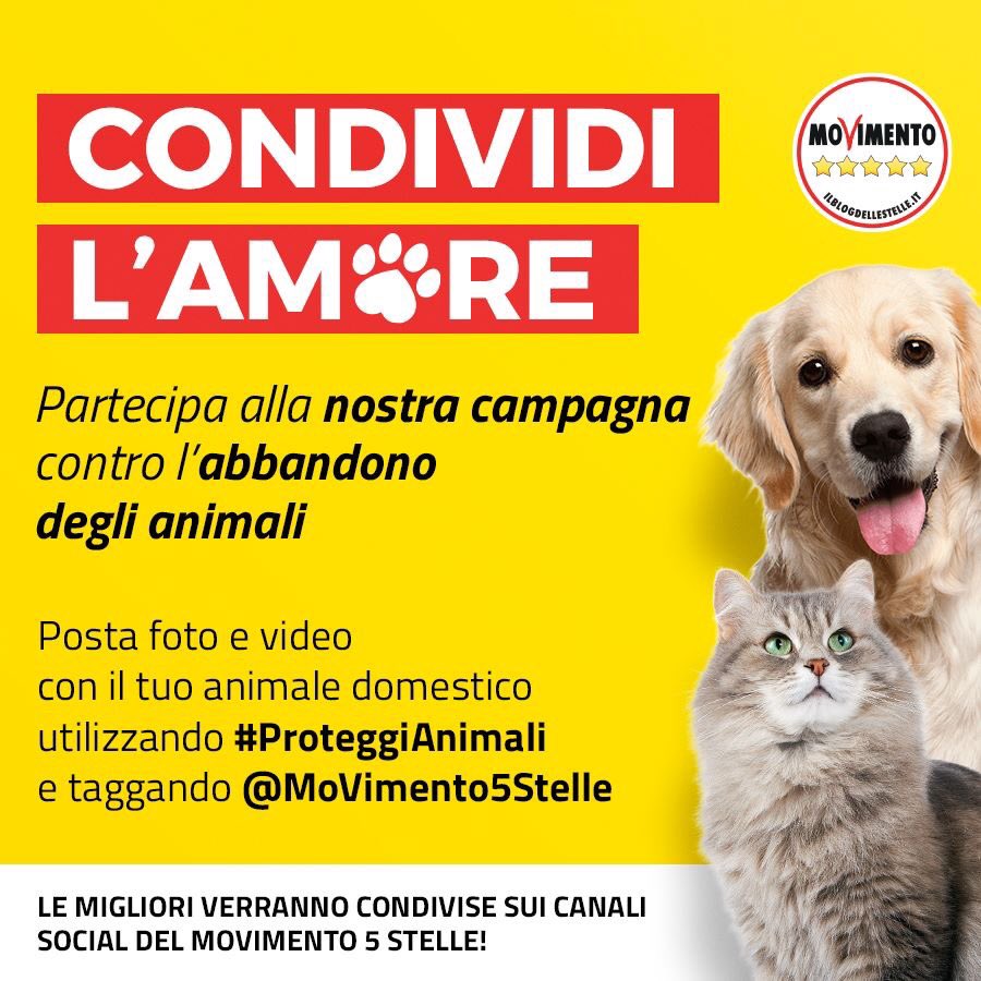 fumax68's tweet photo. Il @Mov5Stelle contro la lotta all’abbandono degli #animali. In estate, purtroppo, si raggiunge un picco del 30% commettendo un reato punito con l’arresto fino a 1 anno e con una multa fino a 10.000 euro.
IO E IL MIO OTTO DICIAMO NO ALL’ABBANDONO DEGLI ANIMALI! #proteggianimali https://t.co/tHBGsSbg2w