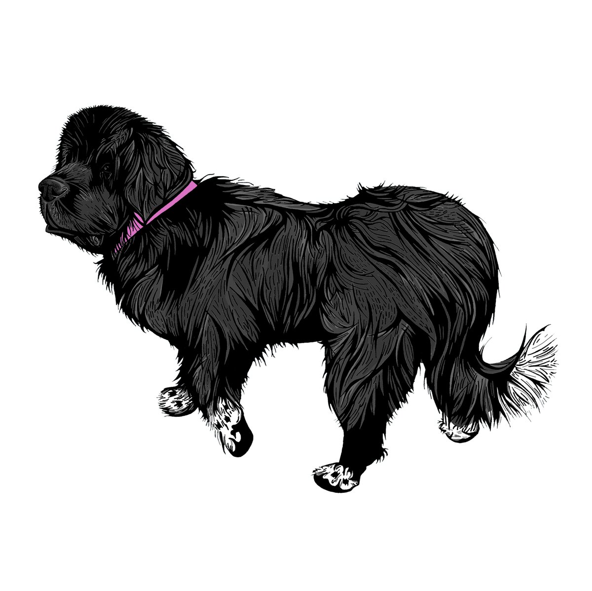EllaBucknall's tweet photo. I am open for commissions and love drawing 🐕 and 🐈 so dm me! https://t.co/1raEpbJPyQ