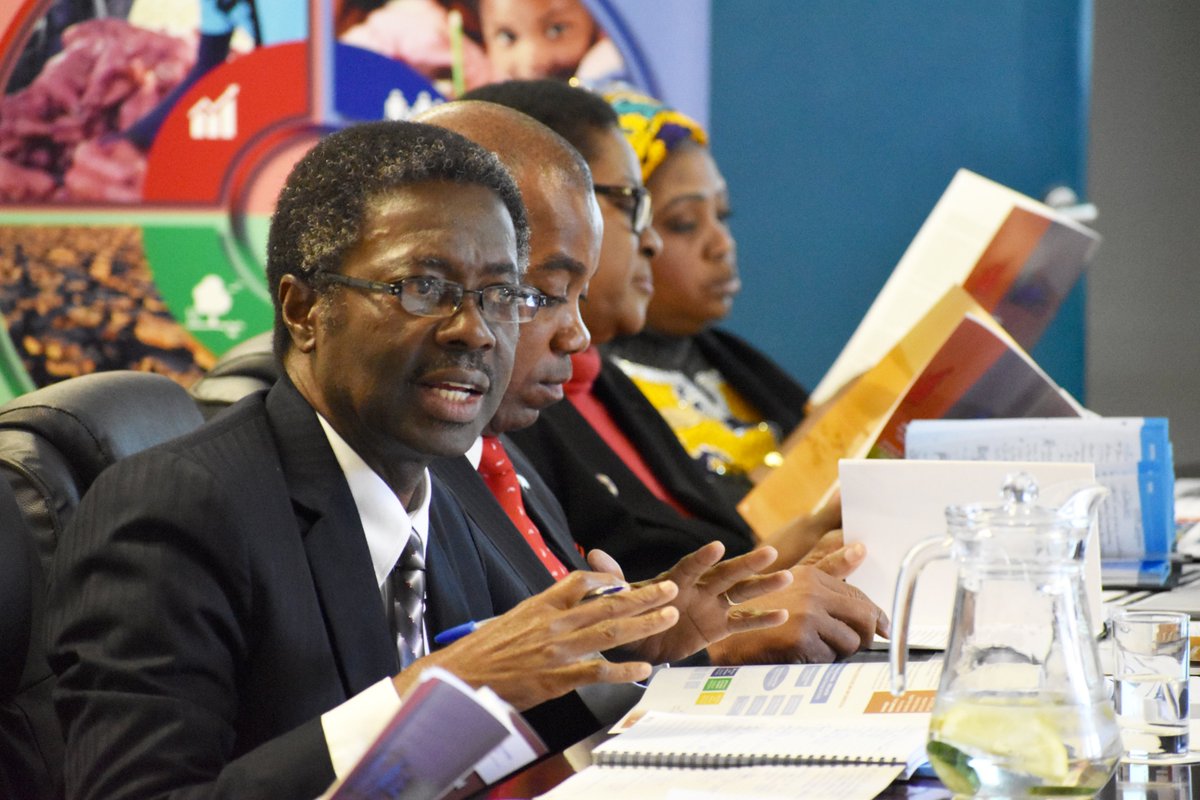UNNamibia's tweet photo. The UN #Partnership Framework (#UNPAF) 2019-2023 Joint Workplan was validated today! It outlines strategic activities that will be implemented to contribute to📈Economic Progression,👥Social Transformation,🌳Environmental Sustainability and 👩⚖️Good Governance in #Namibia. https://t.co/L8IciZVwrU