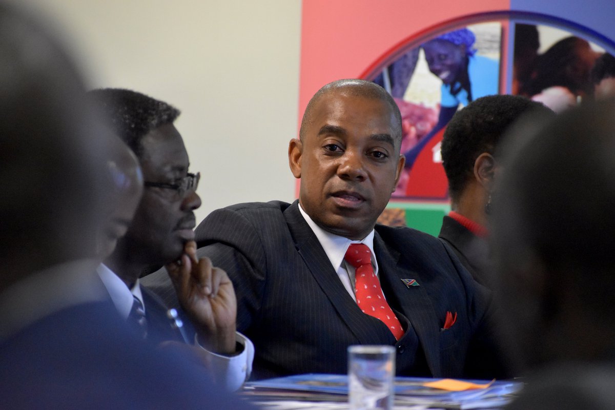 UNNamibia's tweet photo. The UN #Partnership Framework (#UNPAF) 2019-2023 Joint Workplan was validated today! It outlines strategic activities that will be implemented to contribute to📈Economic Progression,👥Social Transformation,🌳Environmental Sustainability and 👩⚖️Good Governance in #Namibia. https://t.co/L8IciZVwrU
