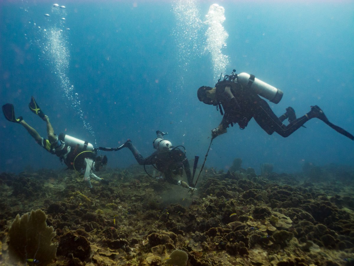 EU_MARE's tweet photo. All in one: @DiveSafeProject delivers an innovative product that will allow divers to safely and efficiently conduct underwater surveys, while monitoring their physiological status. Safer, better. 
With a little help from the 🇪🇺#EMFF
Info ➡️ https://t.co/hdYQEjxZQ4 https://t.co/tD4hIzAPWM
